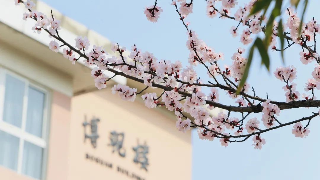 新中国“首批”之一！江苏这所高校含金量十足，10次登上央视