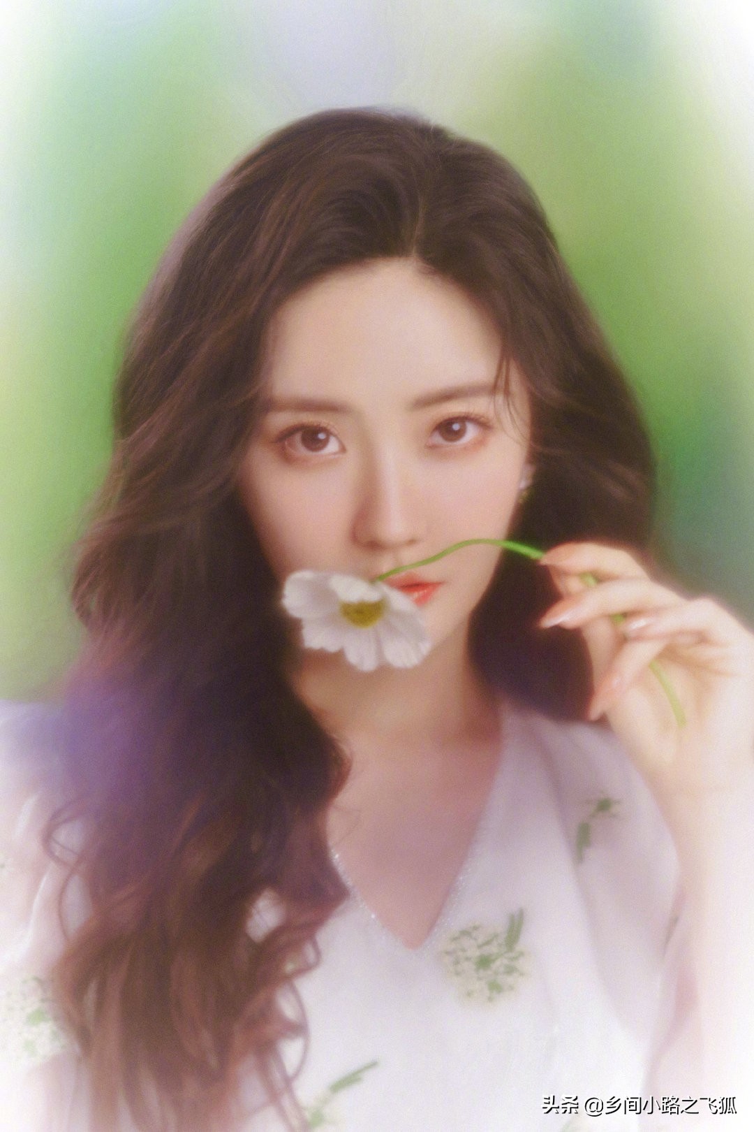 王艺瑾 新歌《喜欢你》MV甜度超标，唯美梦幻芍药花海衬托歌曲浪漫​​​