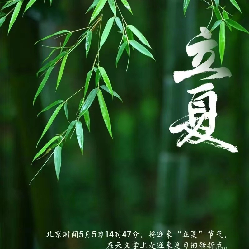 文案丨关于立夏的优美句子摘抄丨优质文案