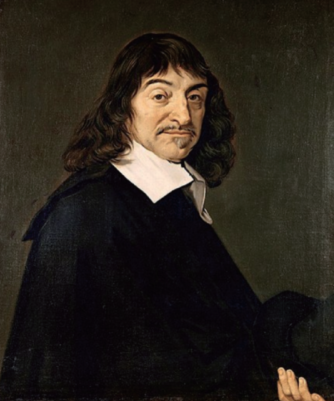 动量、动能与牛顿的力——动力学的基础概念与图像