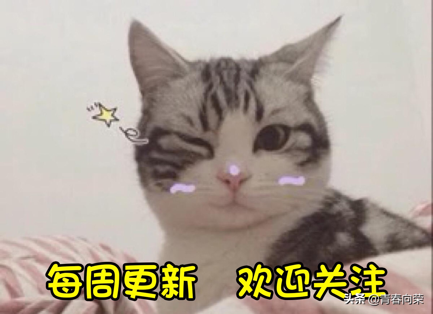 老司机专场影院：硬盘飙车神剧再集结