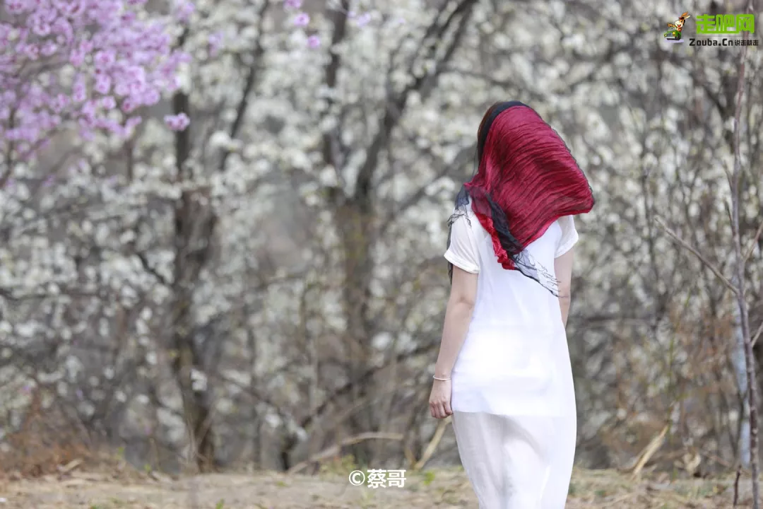 快开啦！这些地方的春景正在悄悄席卷全国，大气又美丽，别错过