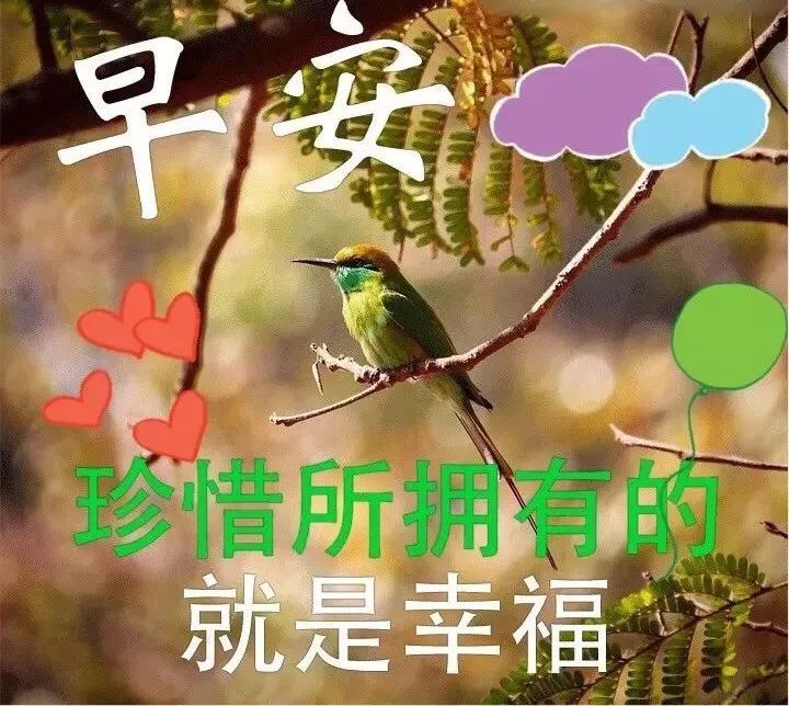 清晨阳光暖心问候早上好表情包集锦 感恩相遇，友情来之不易图片