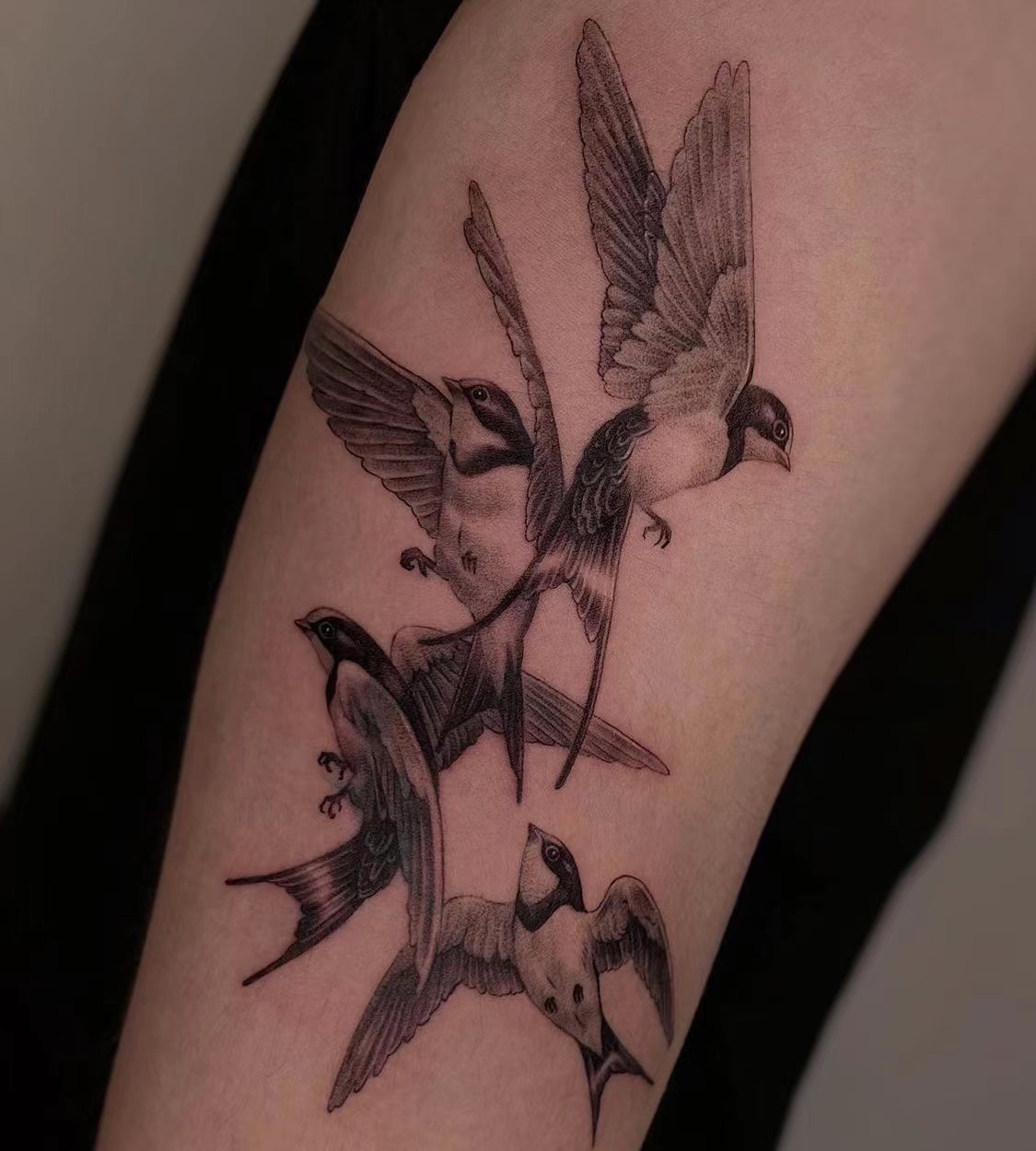 67[心]燕子这么好的寓意,如果你想有一个独特不俗的爱情意义的纹身