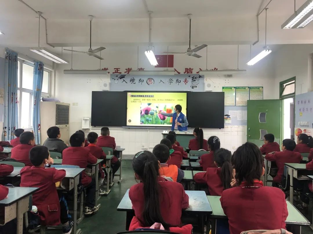 太平街道禁毒工作领导小组禁毒宣传走进合江小学开展校园教育活动