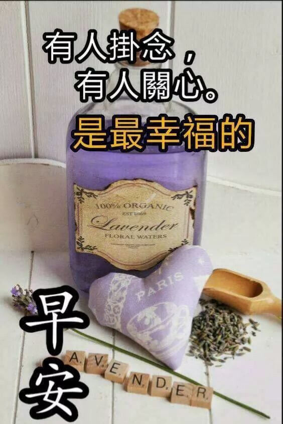 早上好动态祝福 微信最美早上好图片 送你一朵长寿花，祝你长寿不老图片