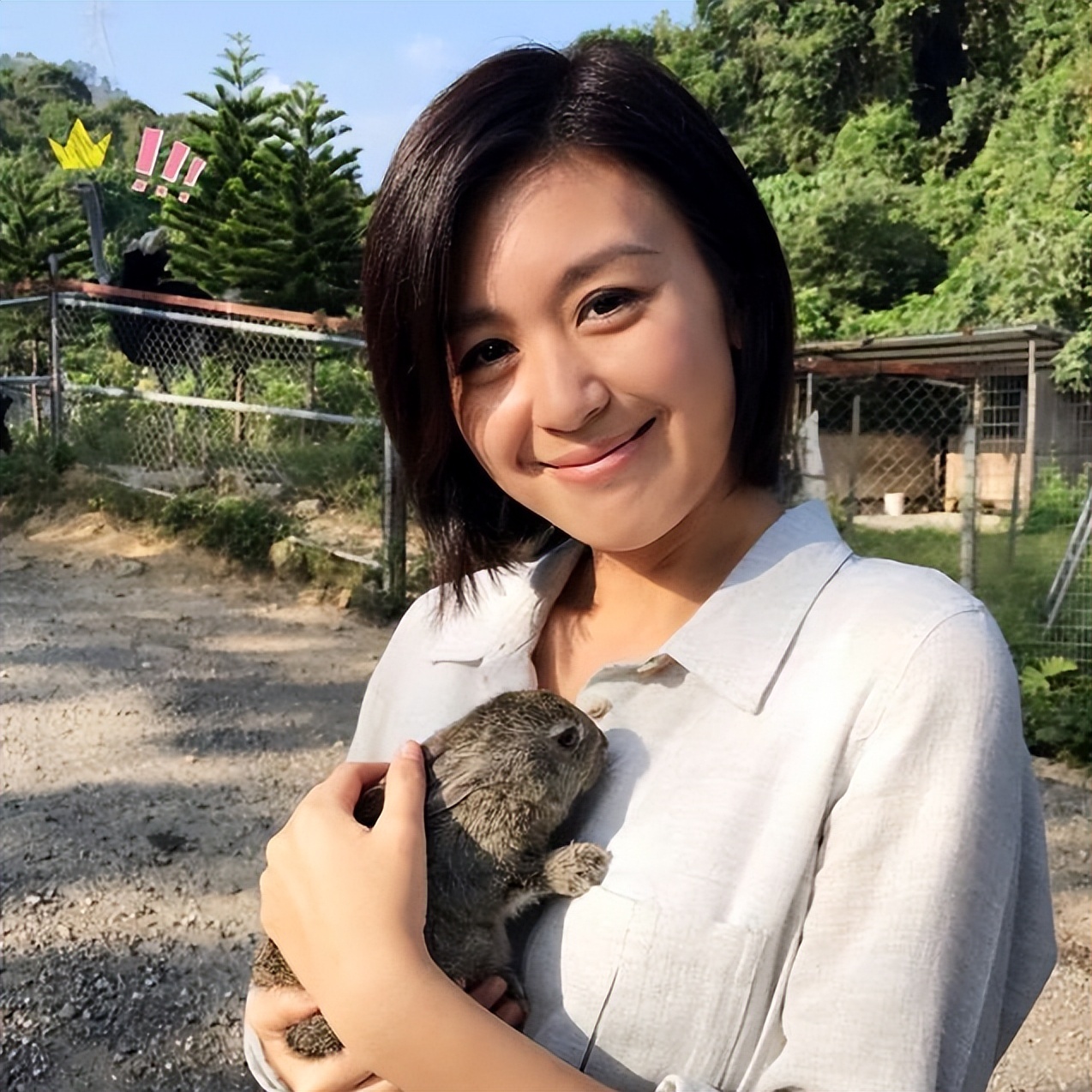 红得快、凉得也快，这五位“风光不再”的女星真是太可惜了