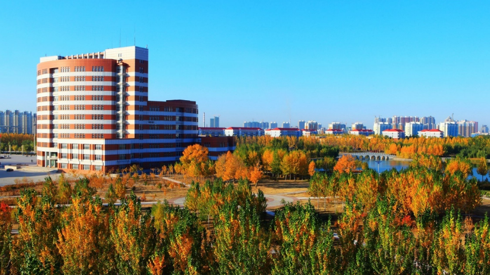 没意愿别浪费时间，东北石油大学真实在，调剂回复完全没“套路”