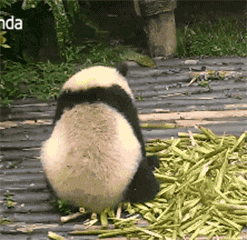 40元get上千块“隐藏款”？我被盲盒直播割了韭菜