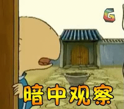 “畅”游蒙山·“粽”享时光