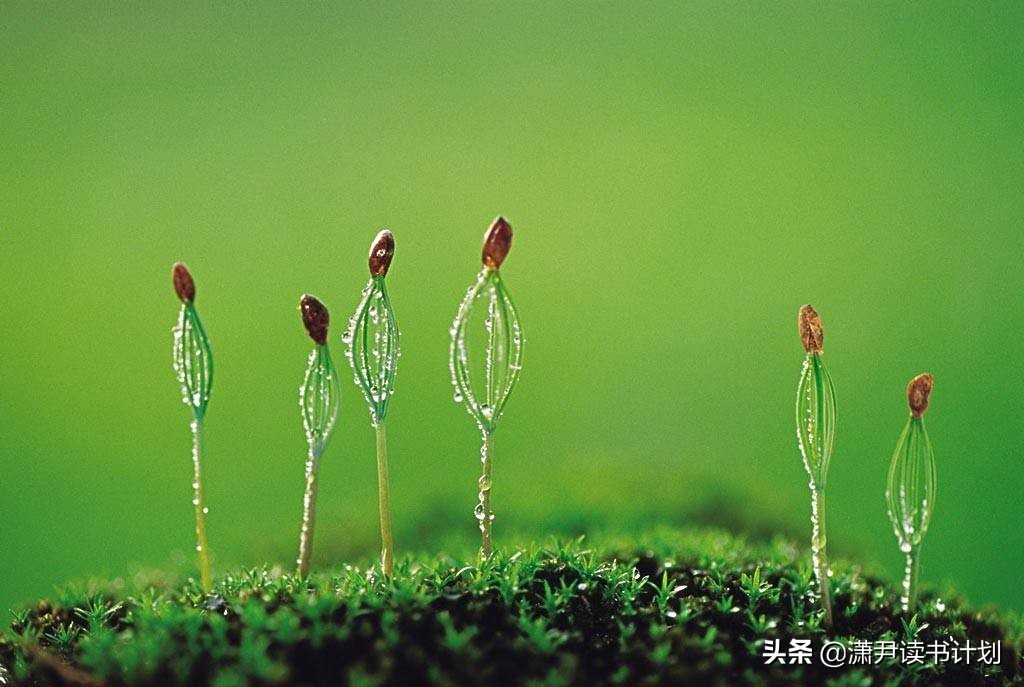 这些发明让生活更美好！（带你了解中国现代10大发明）