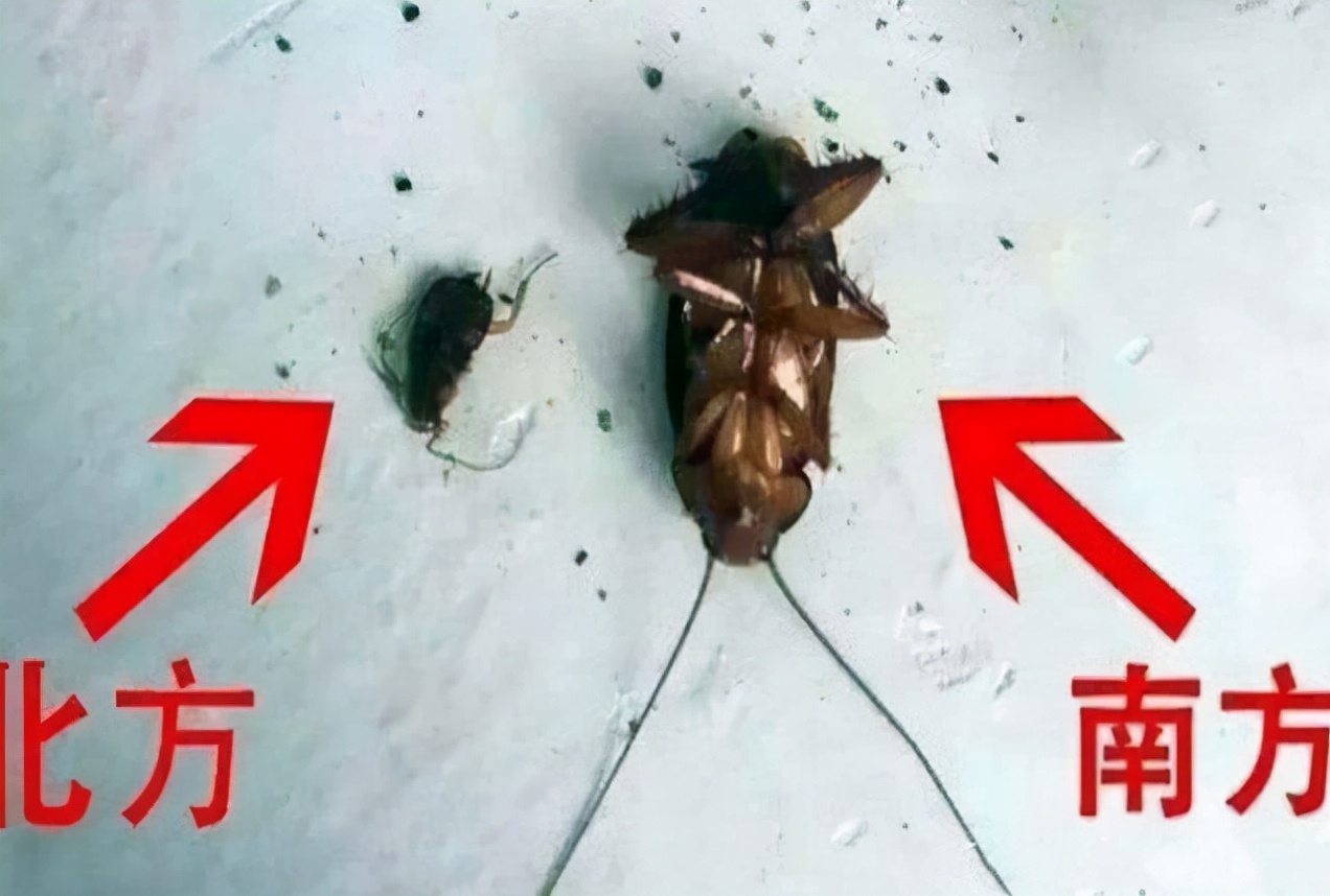 上南方大学和北方大学有啥区别？4张图过于真实，毕业生有些心酸