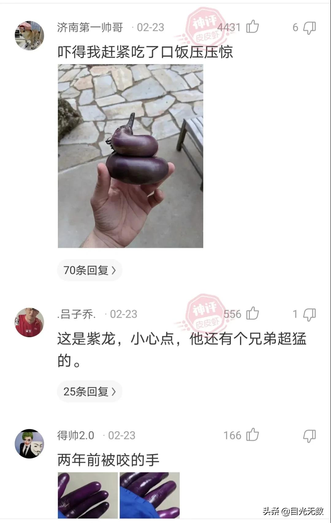 神评论：爱迪生一生中从来没说过「放弃」两字