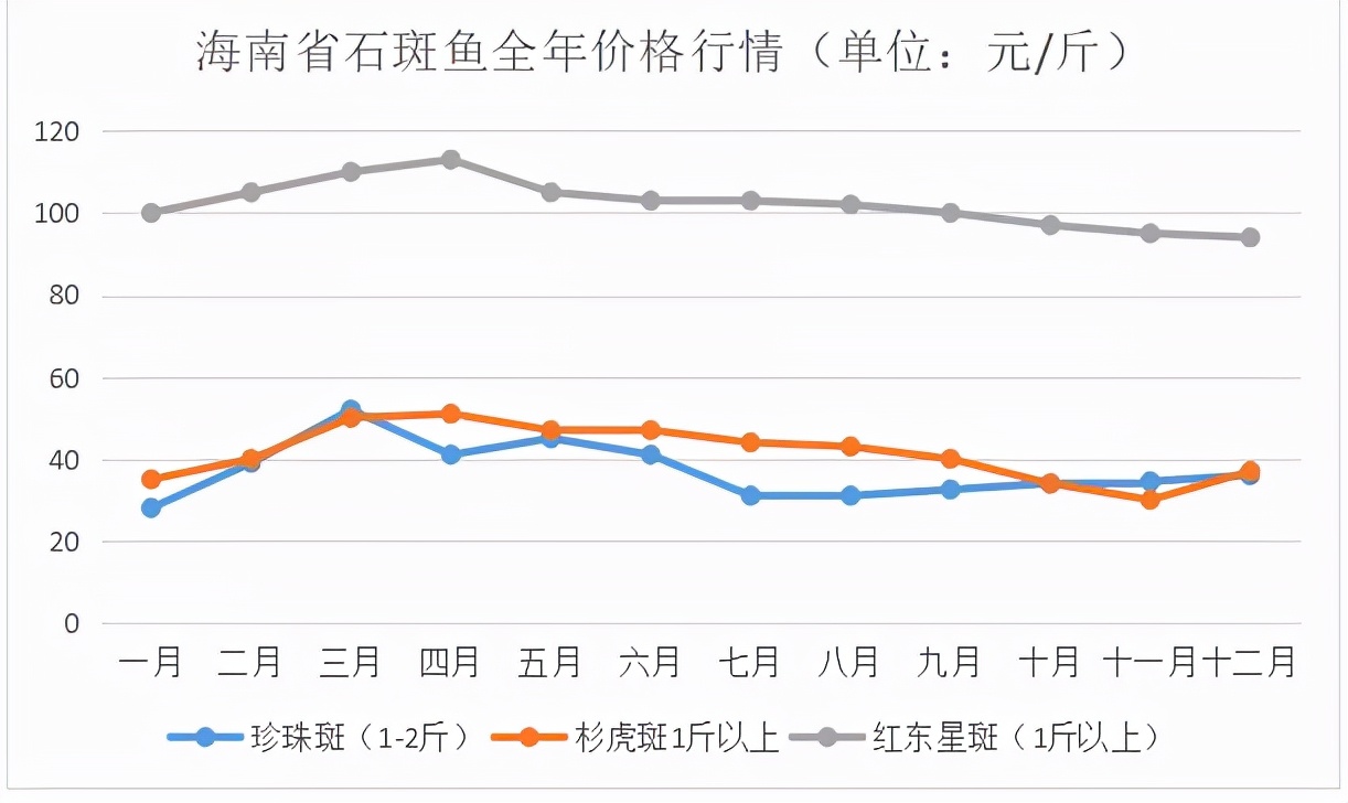 石斑魚多少錢一斤,石斑魚多少錢一斤市場價2022