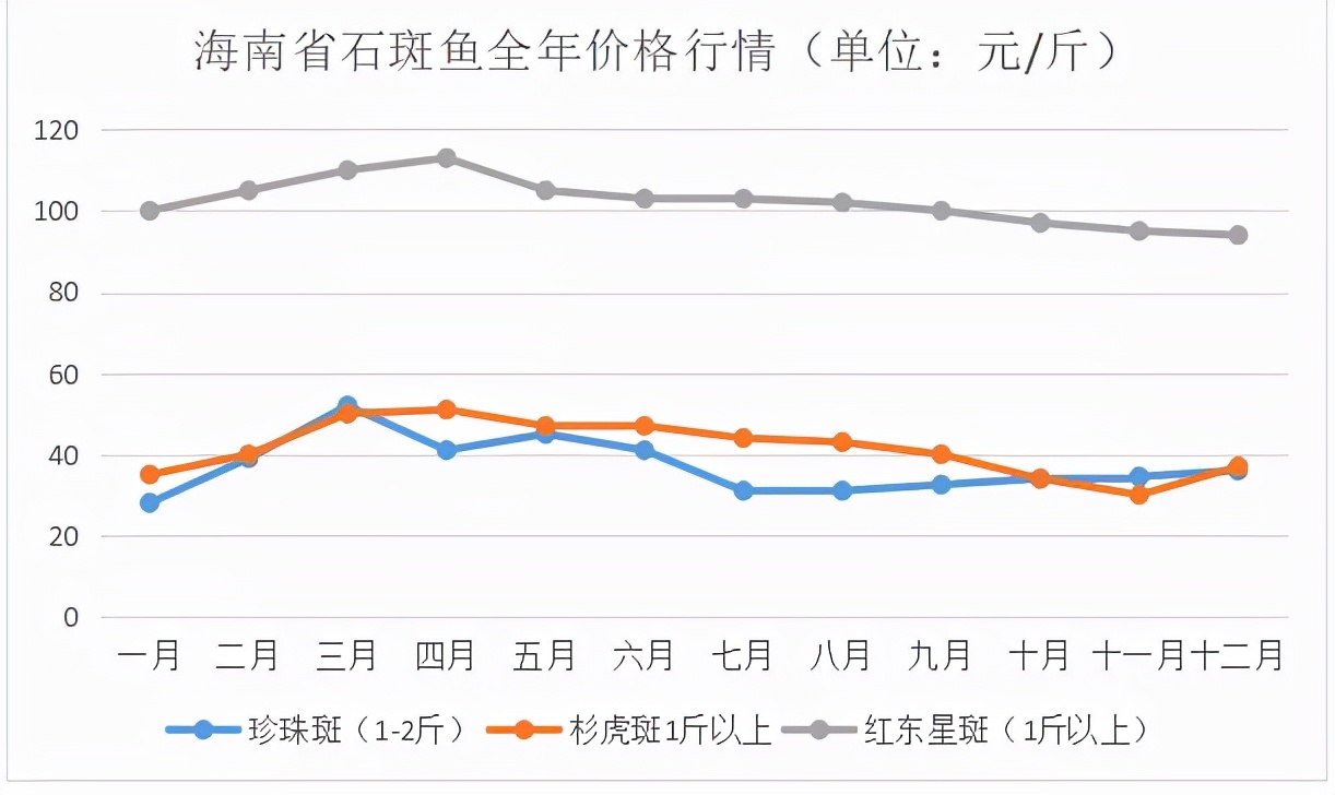 石斑鱼多少钱一斤,石斑鱼多少钱一斤市场价2022