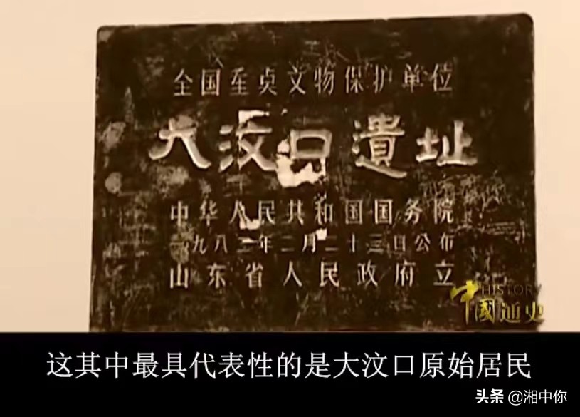 中国全历史2：母系与父系氏族的不同，阶级和贫富分化的开始