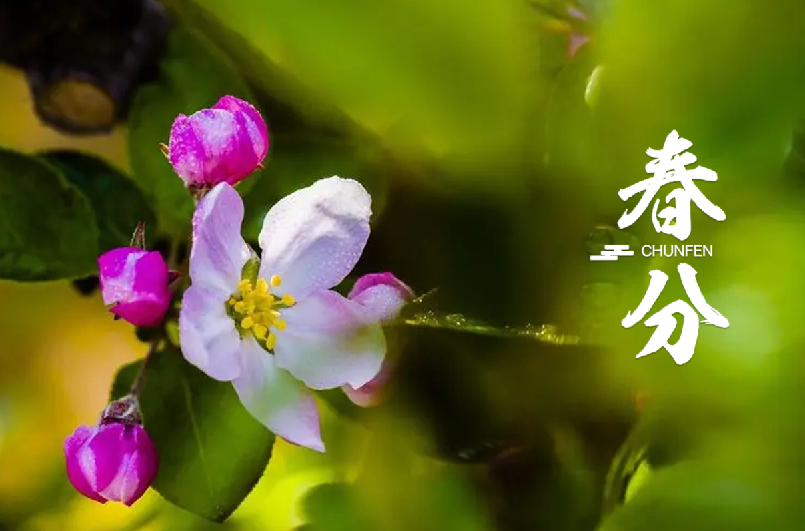 春分 | 春半日暖 昼夜平分，十首春半的诗词，带你览尽美好春光