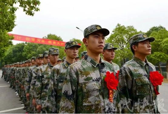 参军有了“新要求”，“政审”方面更严格，大学生通过率变小了