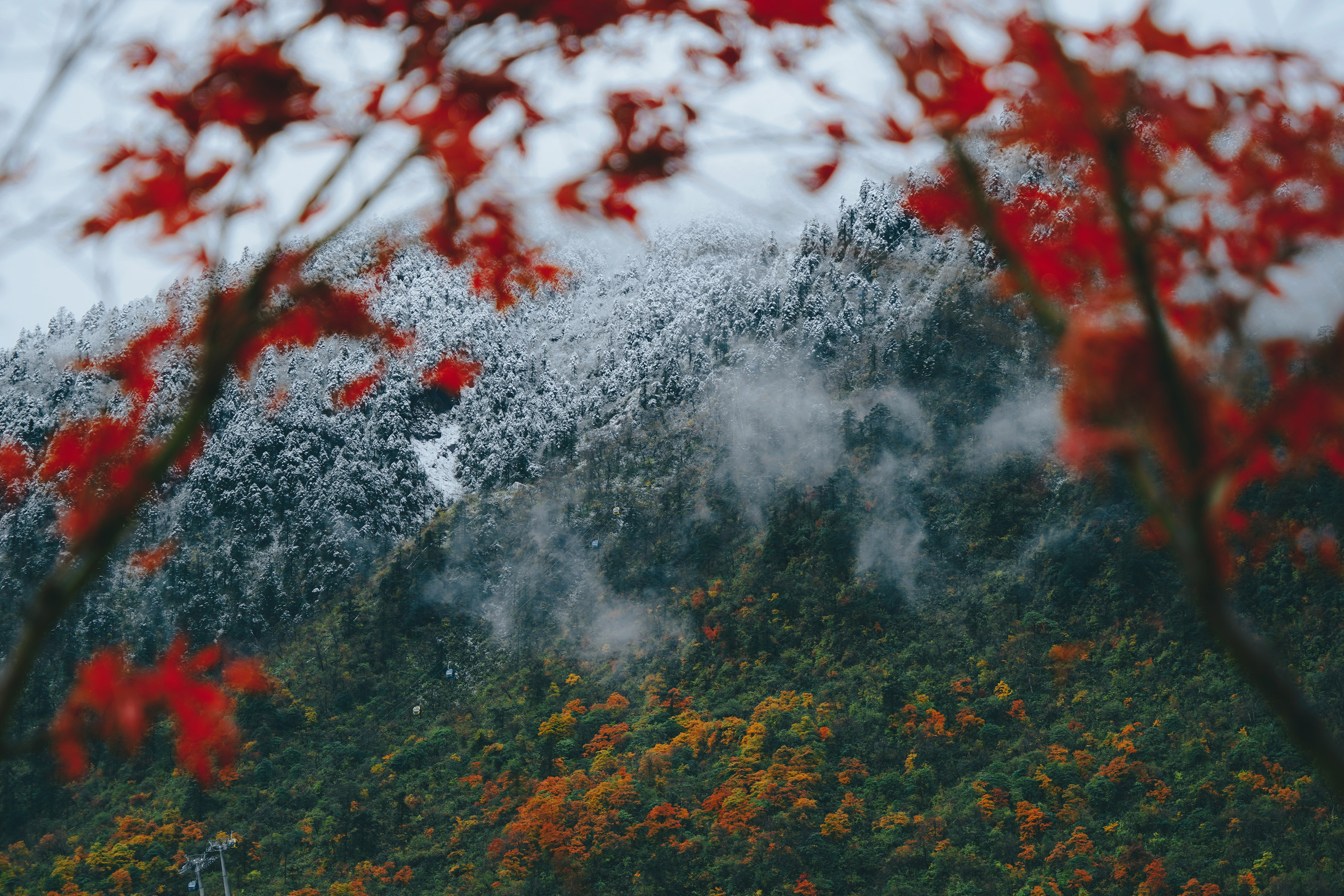 “成都之巅—西岭雪山”主题曲征集公告