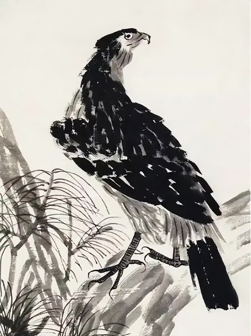 徐悲鸿画的松鹰(徐悲鸿画的松鹰图图片) - 趣味头条