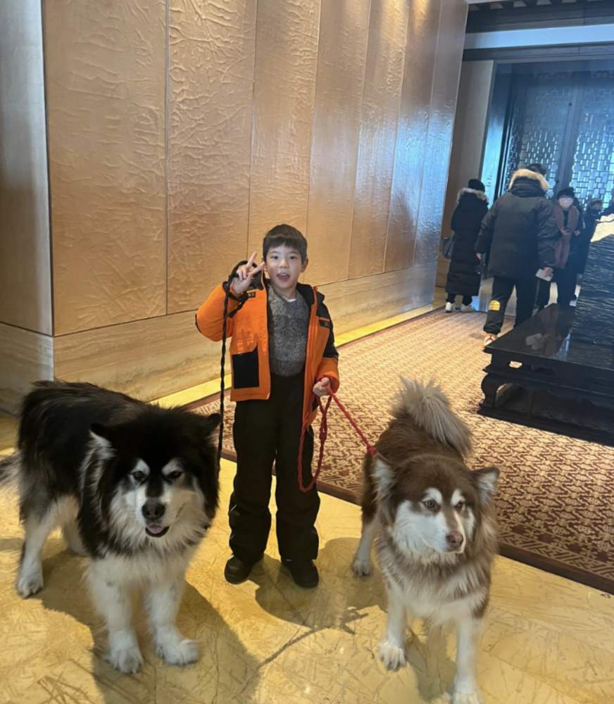 杜江陪霍思燕甜蜜度假后，晒和儿子滑雪照，8岁嗯哼越来越像爸爸