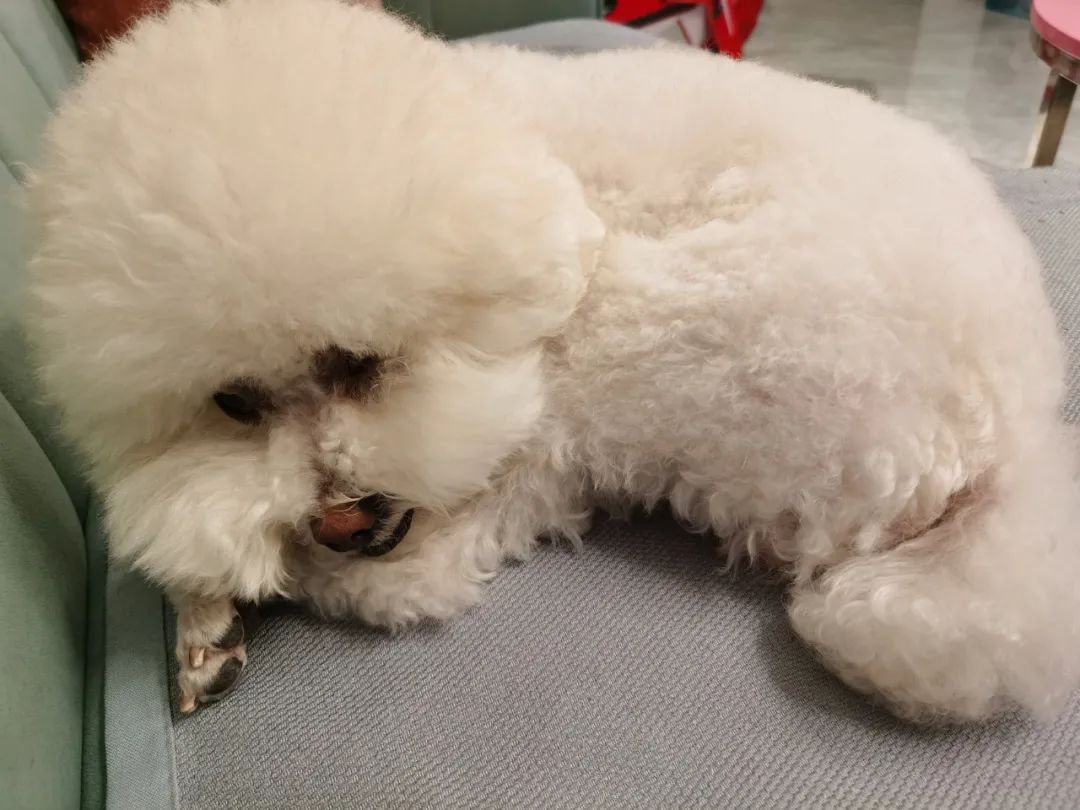 我不想做律师了……