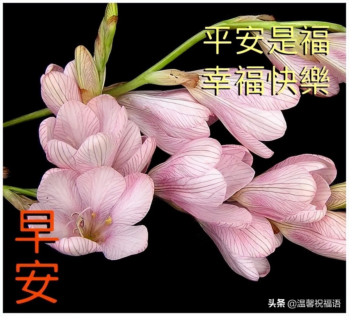 4月30日早上好最新问候语大全 祝好友开心快乐，平安幸福