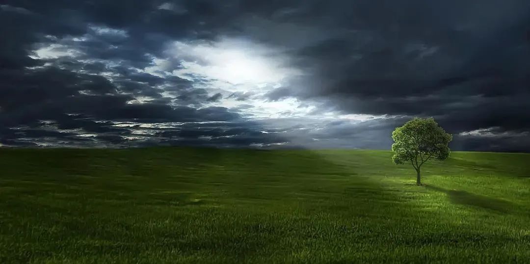 谁能穿越周期？转型之路，天境生物的关键三年考验