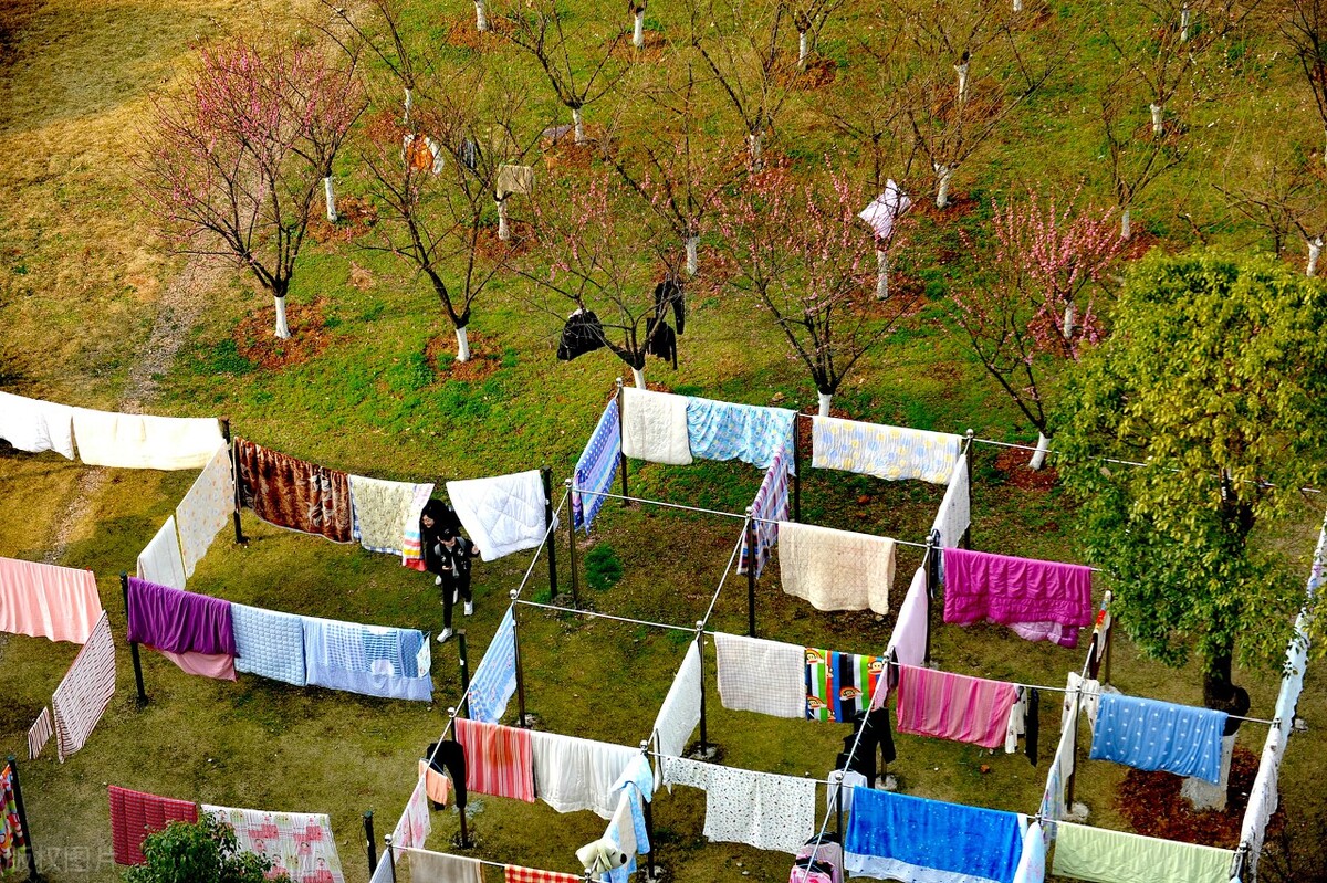 初试占比70%的四所大学，考研上岸很轻松，上岸的“天选之子”