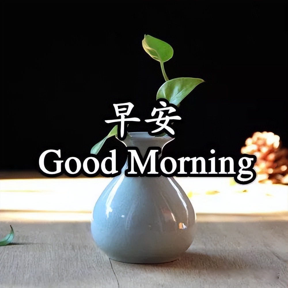 星期五祝福表情图片鲜花带字 清晨问候朋友早上好的温馨祝福语录图片