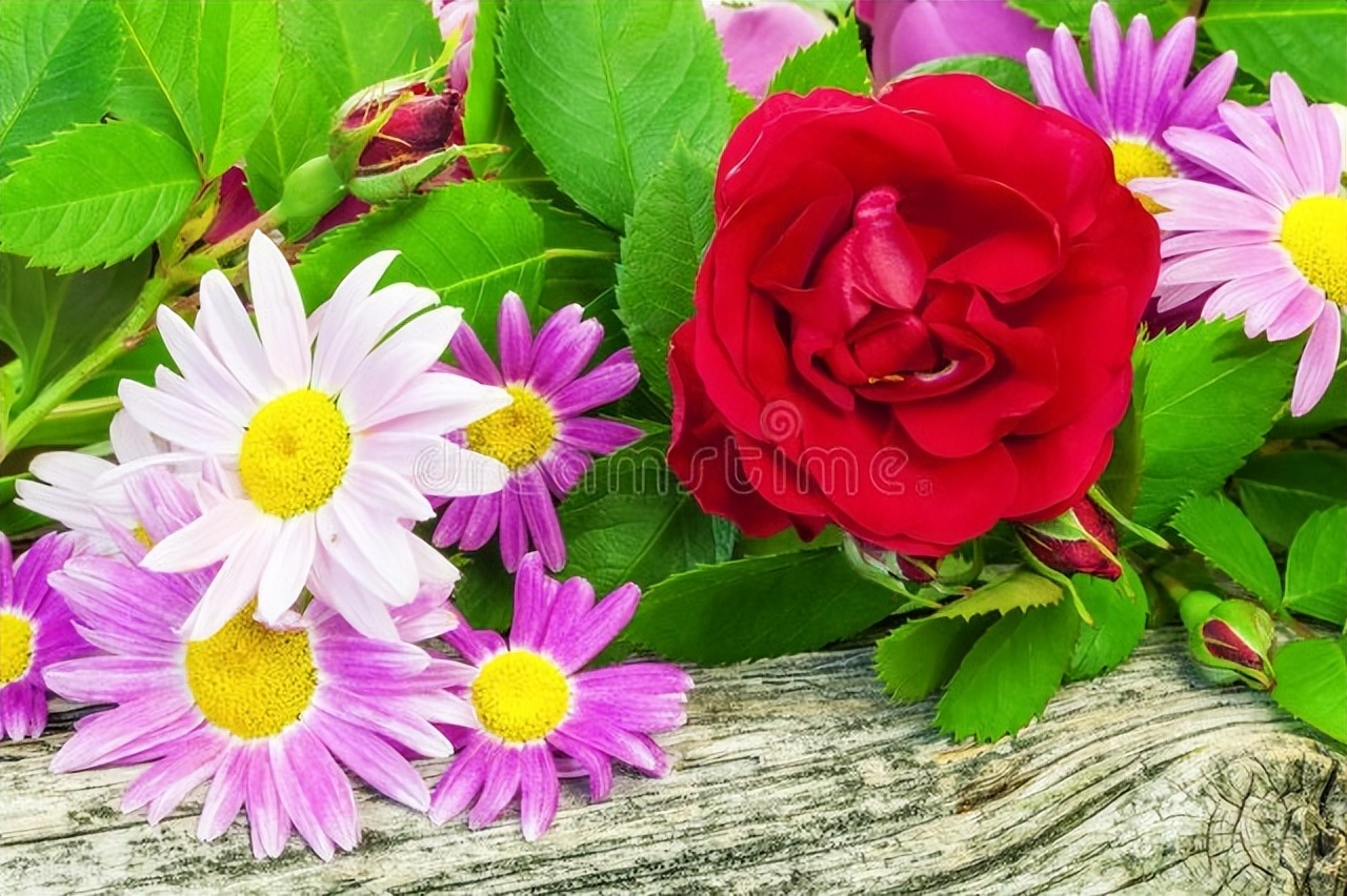 缘似烟花陨灭，情如海天深深，远方的某人，我真的好想你