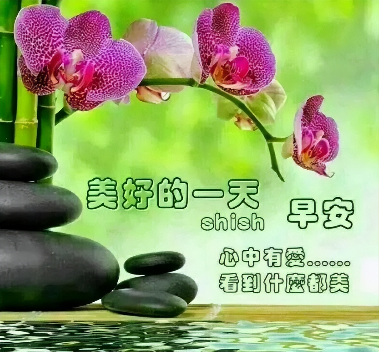 早上好唯美问候图片 祝福依旧早安图片合集祝福好友样样都好图片