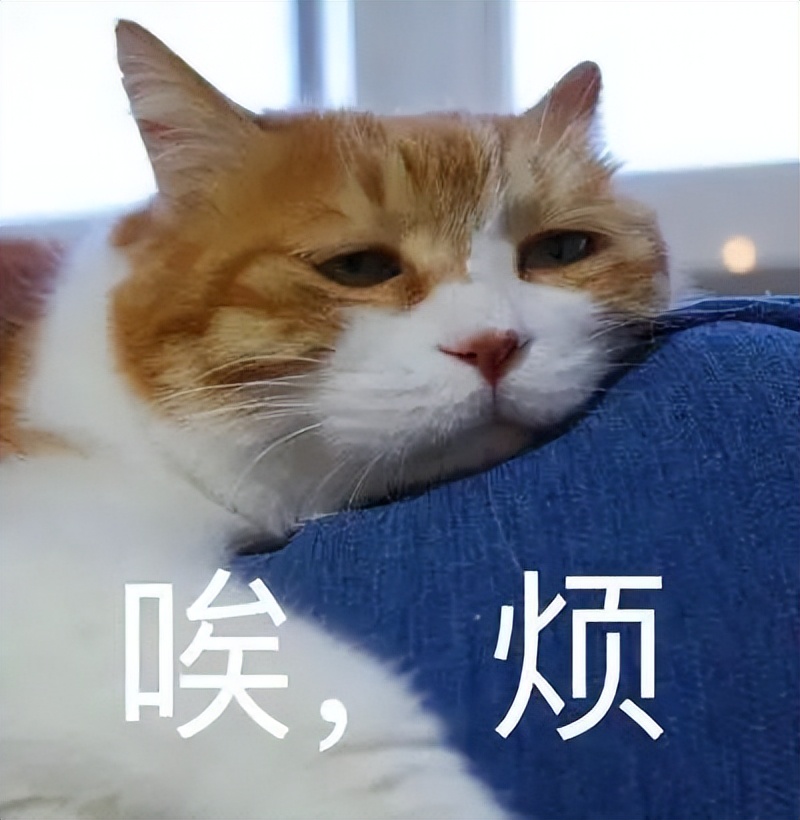 一年一度保险换新清单，医疗险、意外险今年怎么买，都在这里了