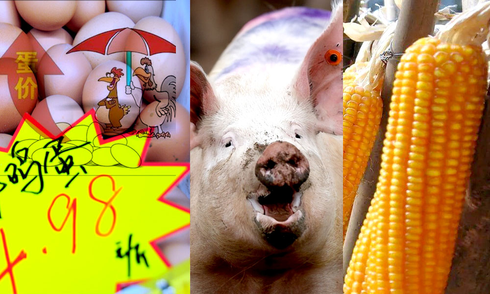 春节过后，猪价、蛋价、玉米迎“跌价潮”，猪肉却涨了，发生了啥