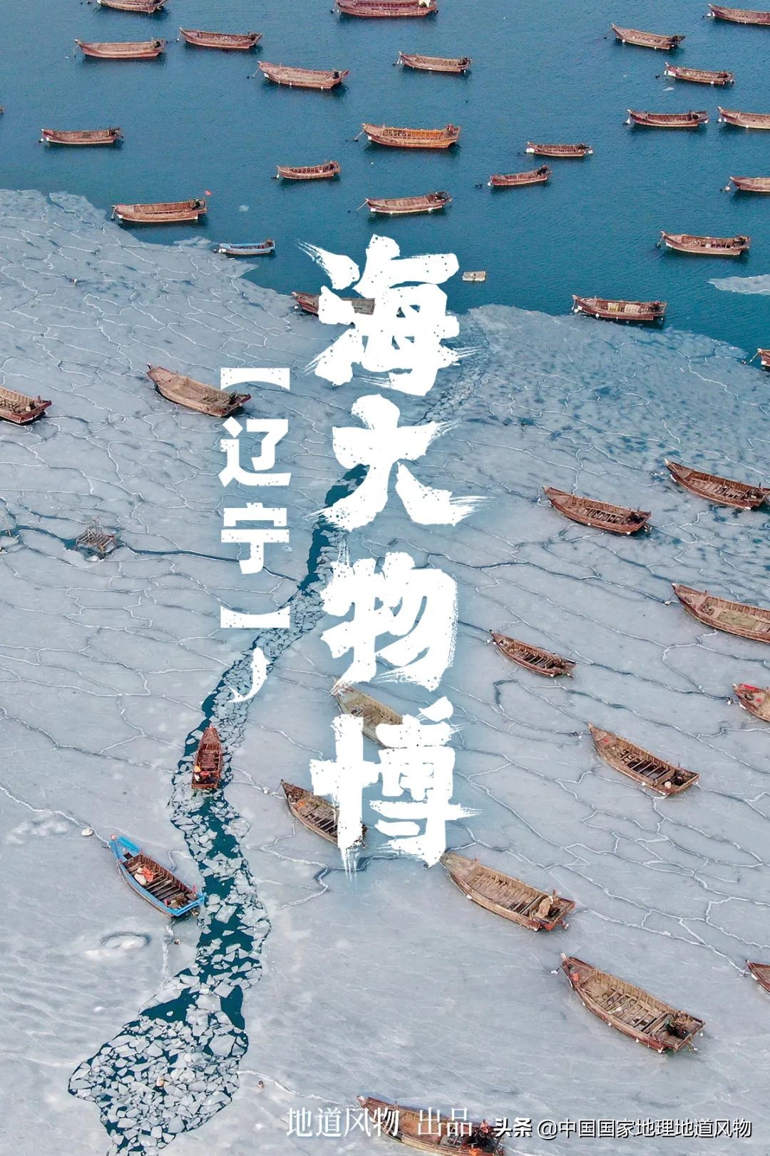 辽宁，被忽略的海鲜大省