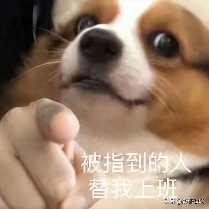 副业兼职：35岁丢了工作，我的职场路，还能怎么走？