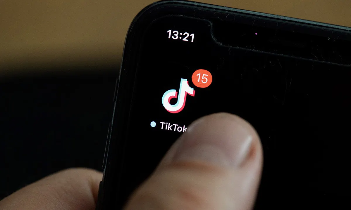 满满知识点：TikTok新手涨粉技巧及关键性指标