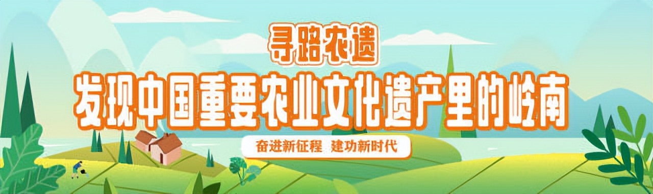 寻路农遗｜骆世明：中国的文化自信，跟深厚的农业传统是相关的