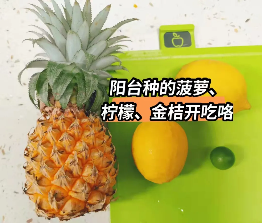 Ů500ԪĻ鷿˸Ǯô