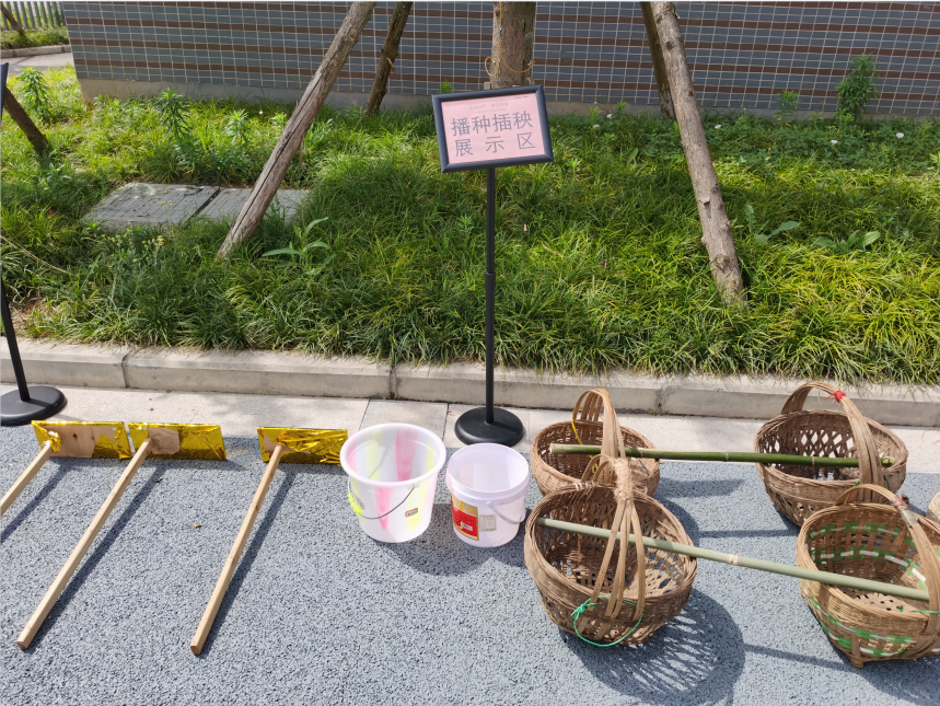 “心与心行 劳动有我”|新兴中学附小开展五一劳动周实践活动