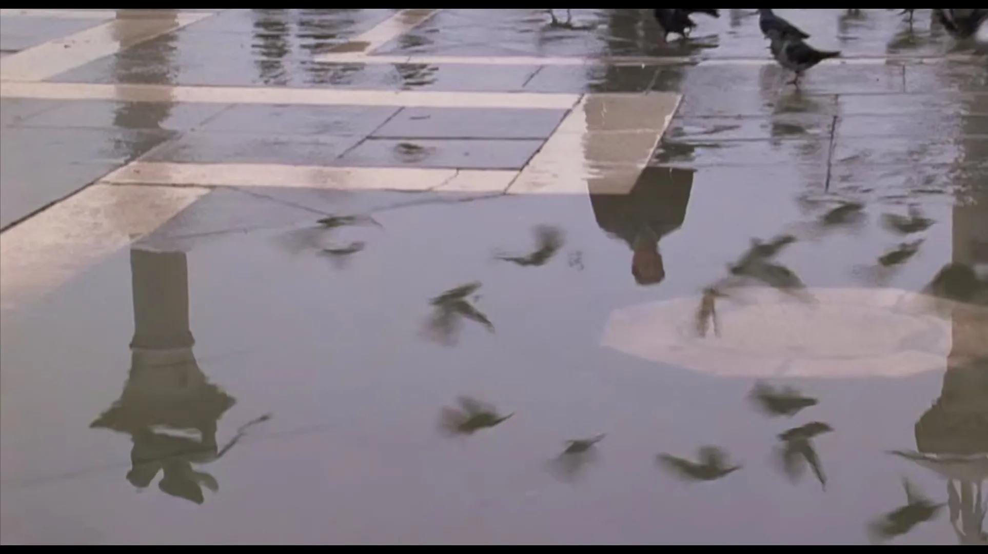 《偷天换日》电影