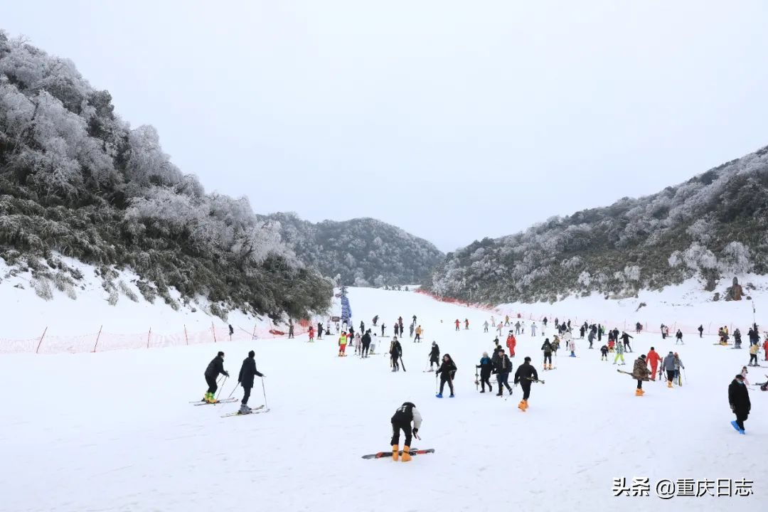 全民上冰雪，助力冬奥会！金佛山滑雪享特价，延续冰雪运动激情