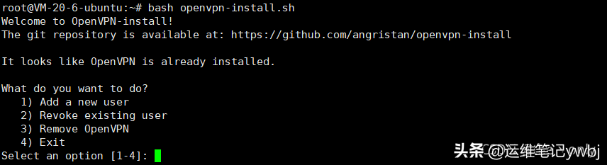 居家或外出办公，使用OpenVPN代理访问公司内网部署