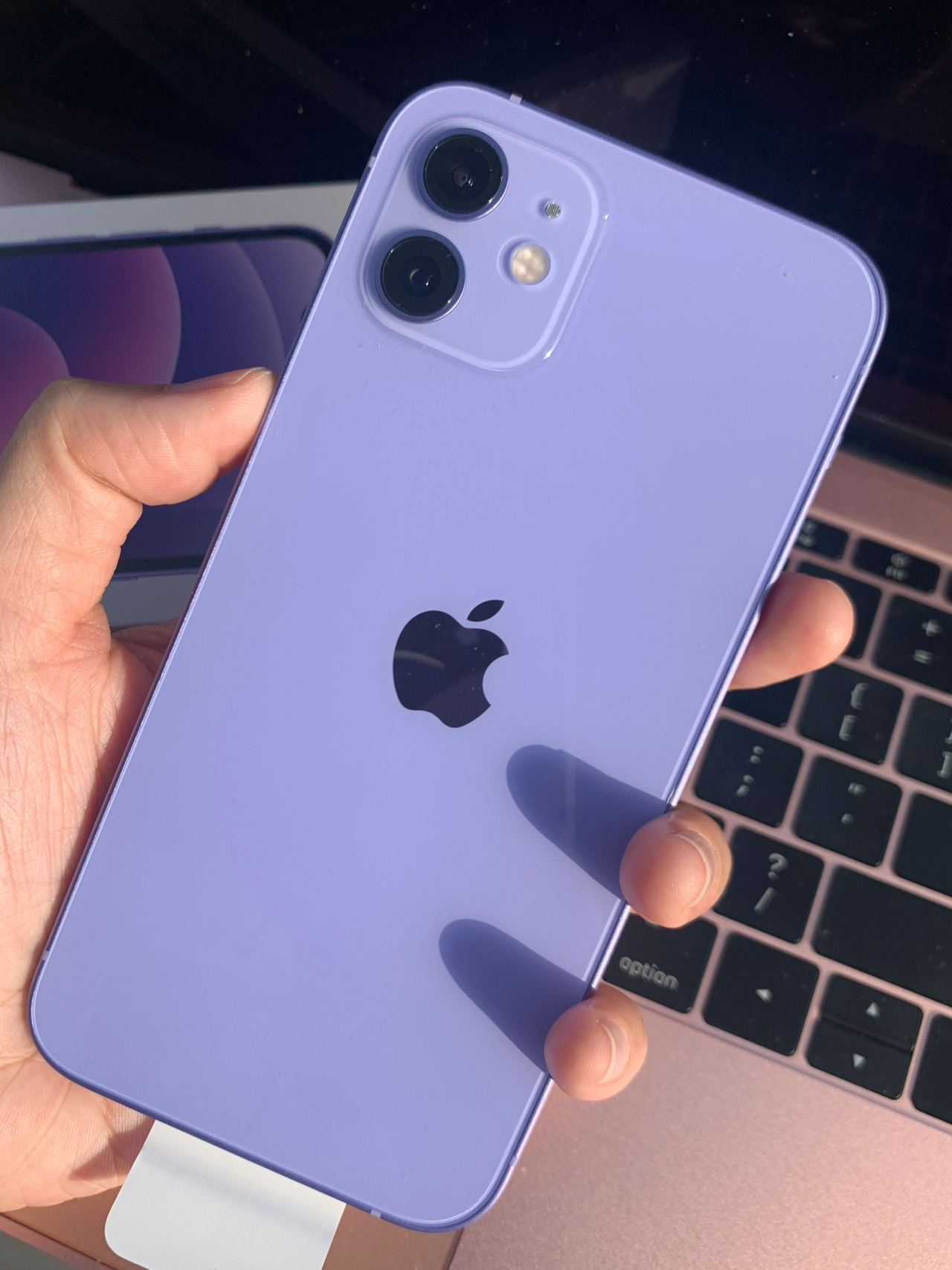 2022最值得买的三款iphone2022年最值得买