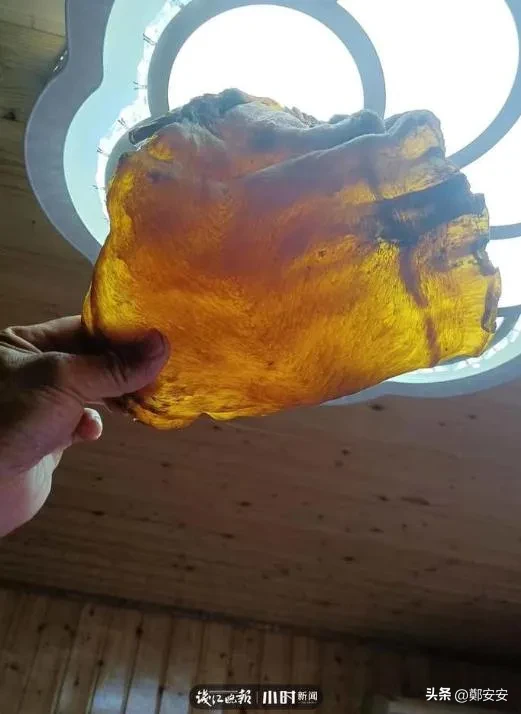 一斤鱼胶可以换一套房？浙江舟山，徐先生的家里珍藏有一块50年的鱼胶