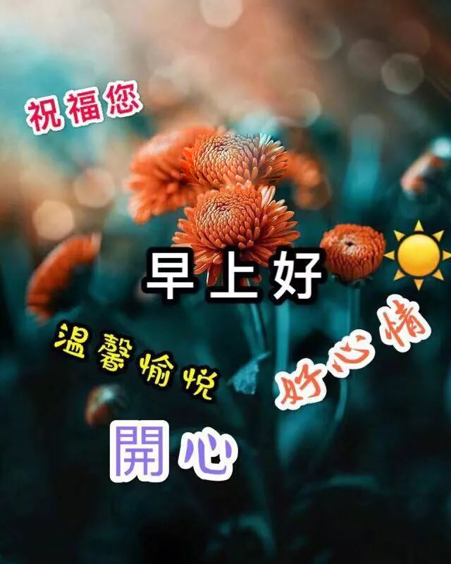 星期三朋友圈早上好祝福图片大全 早安愉快、温暖常绕、幸福伴跑图片
