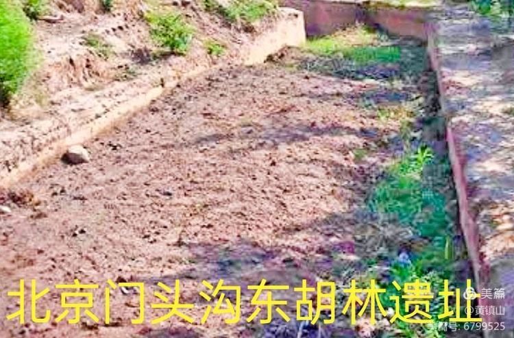 黄镇山：世界陶稻黍文明起源中国万年前