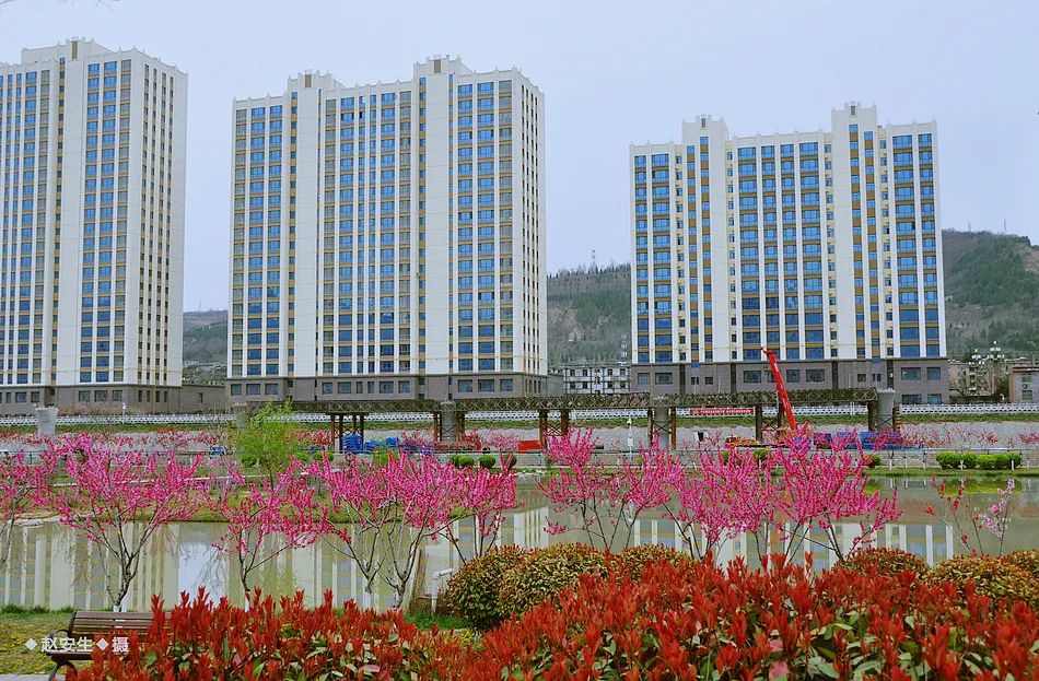 疫情挡不住春天的脚步，小编带你去看古城秦州的春暖花开