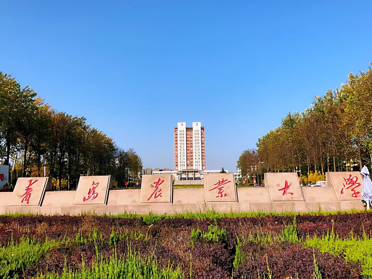 青岛高校最新排名，中海大稳居第三，青岛农业只能排在第六