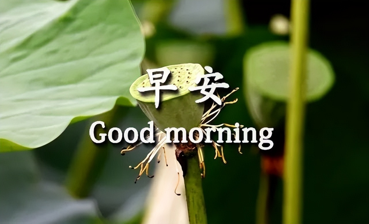 微信新版漂亮的早上好图片集锦 愿你眼中有光，活成你想要的样子图片